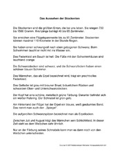 2-Fehlerlesen-Stockente-Text.pdf